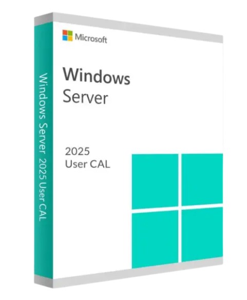 Microsoft 10-pack Windows Server 2025/2022 User CALs (STD or DC), Cus Kit