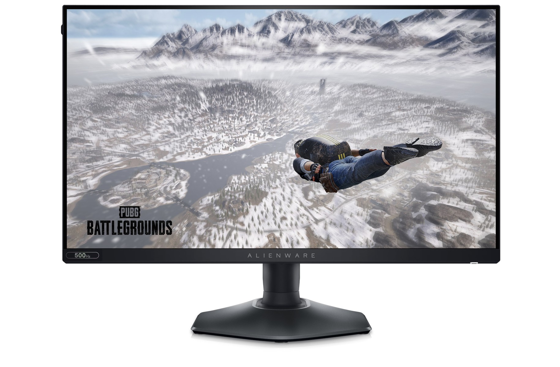 Dell Flat Panel 25