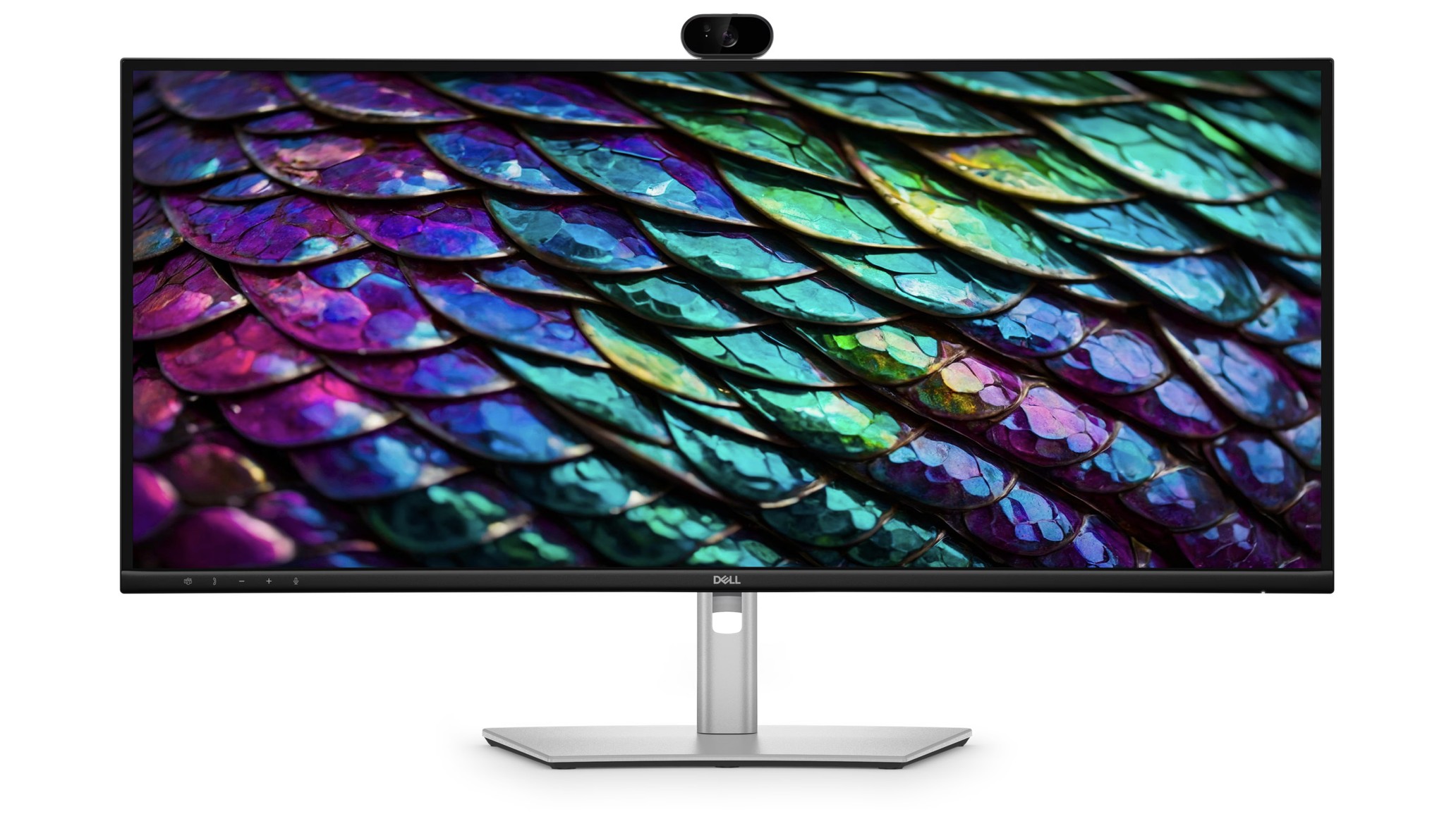 Dell Flat Panel 34