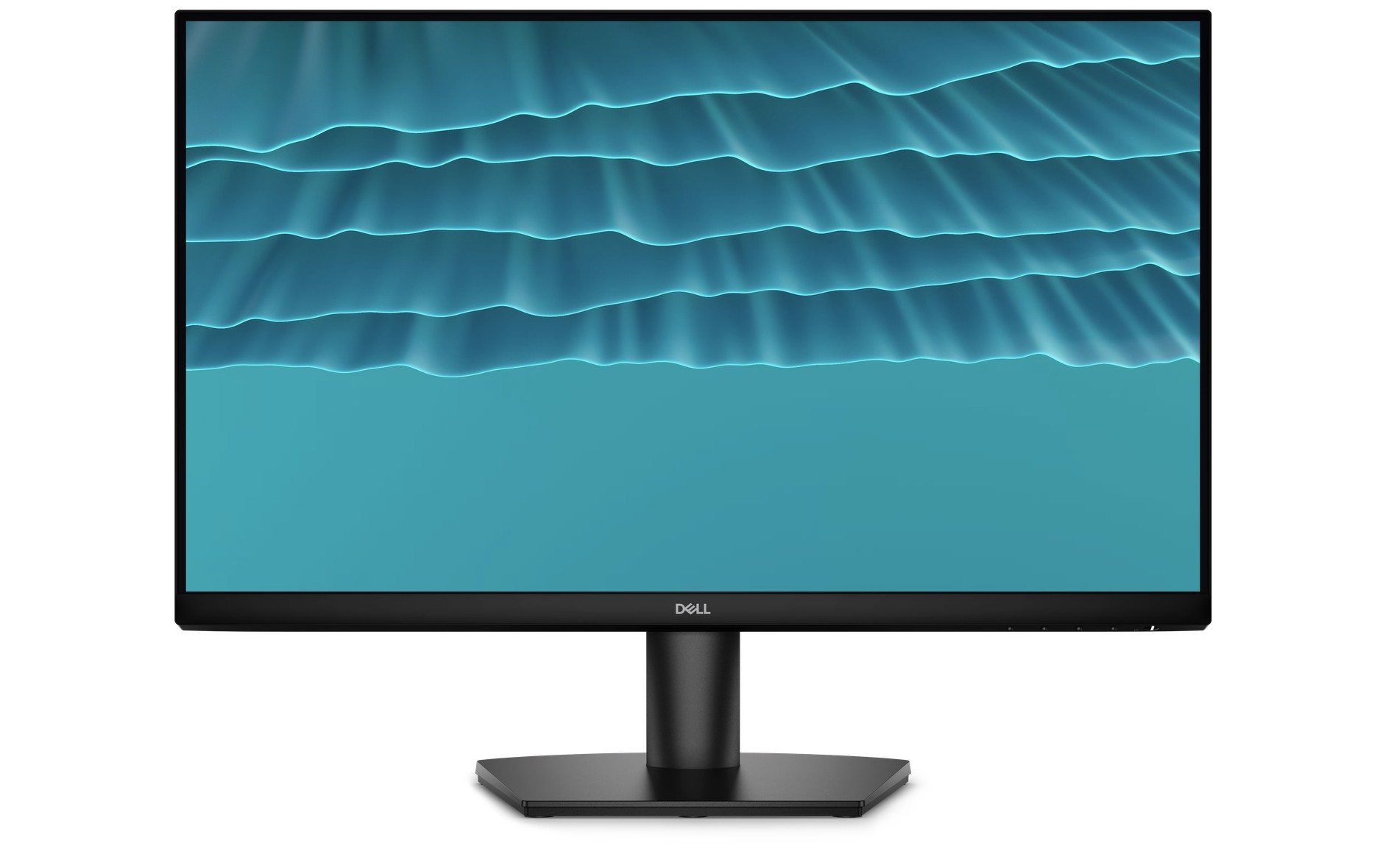 Dell Flat panel 24