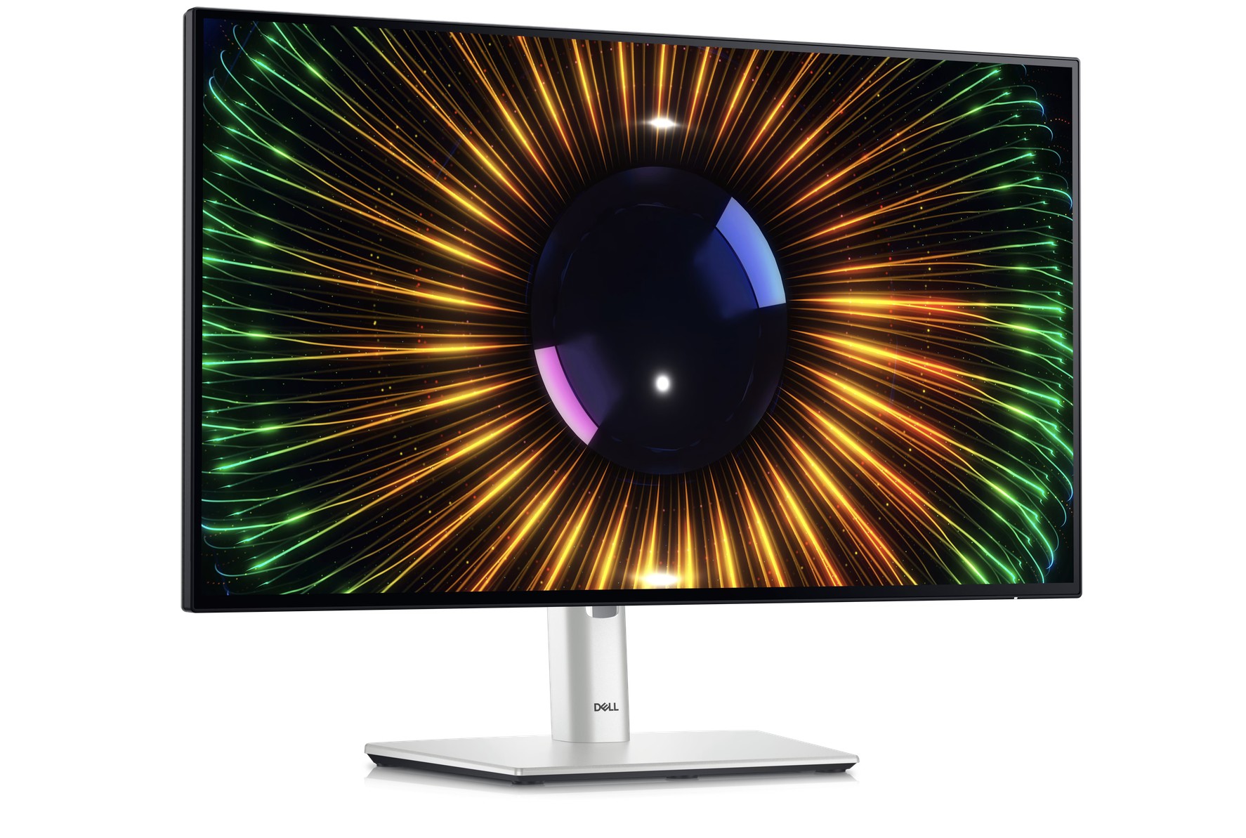 Dell Flat panel 24