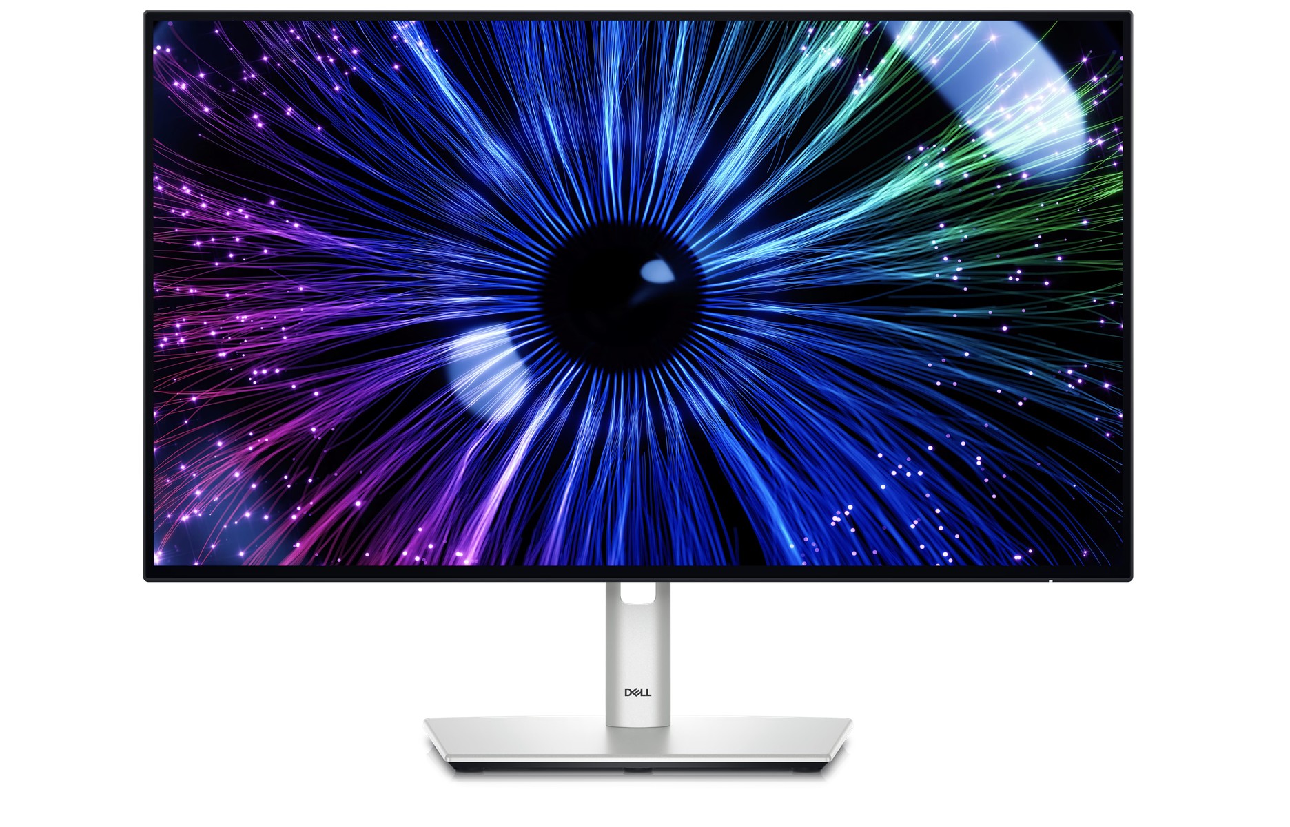 Dell Flat panel 24